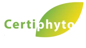 certyphito1